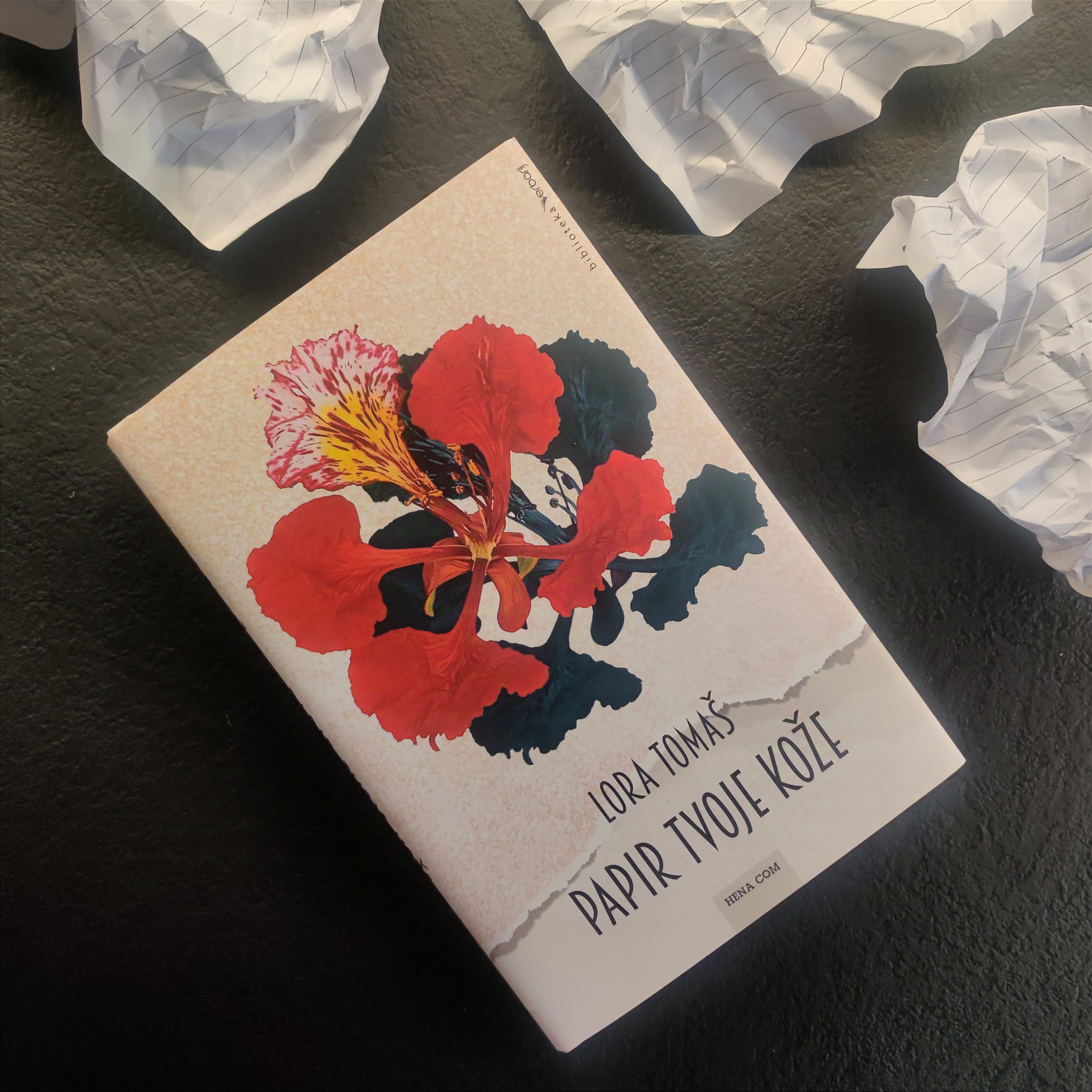 Ulomak romana “Papir tvoje kože”