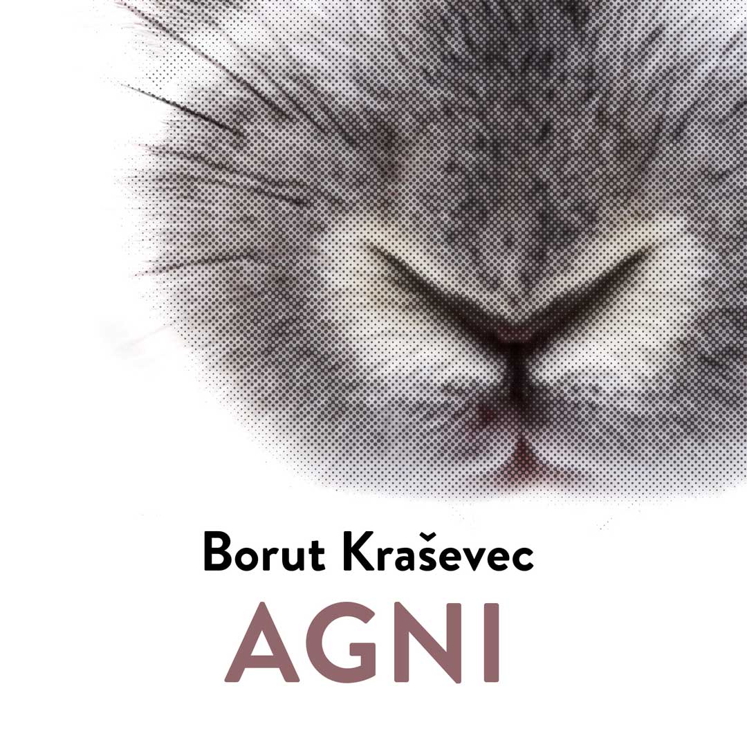 Ulomak iz romana “Agni” Boruta Kraševca